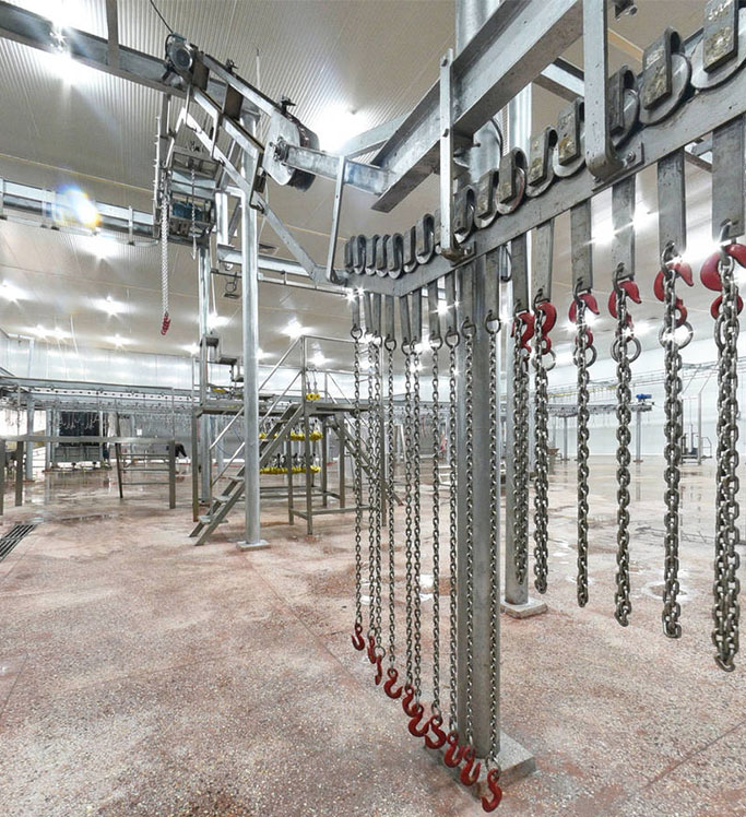 Abattoir Process Flow Diagram Slaughter Cattle Abattoir Slau